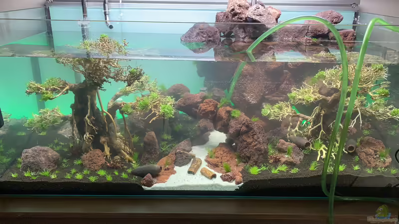 Das erste mal Wasser von Matze3110 (3)