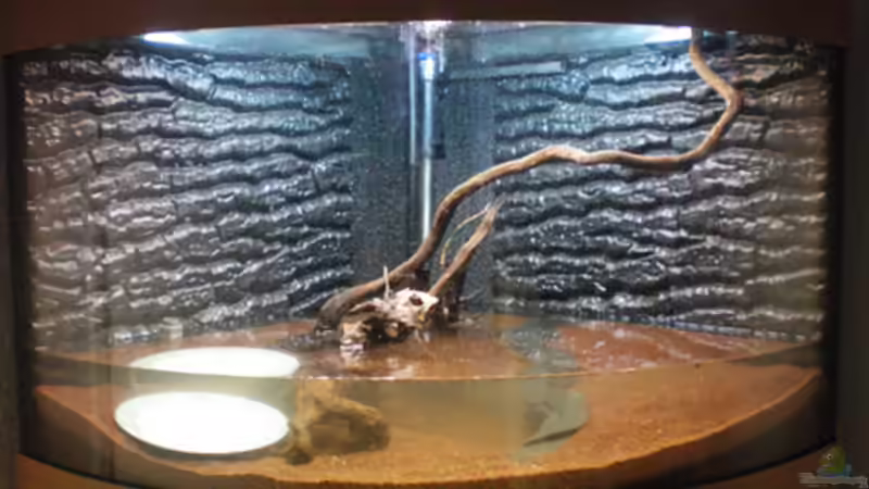 Das erste Wasser (aus dem alten Becken...) von Thomas Ahrens (28)