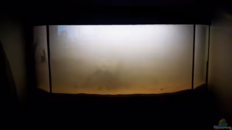 Das erste Wasser O.o von Michael Scheffler (5)