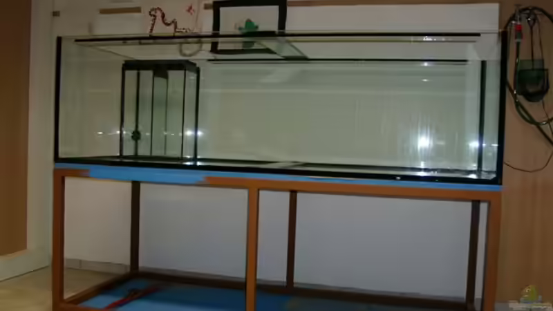 Das fertige Becken von Mikey (22)