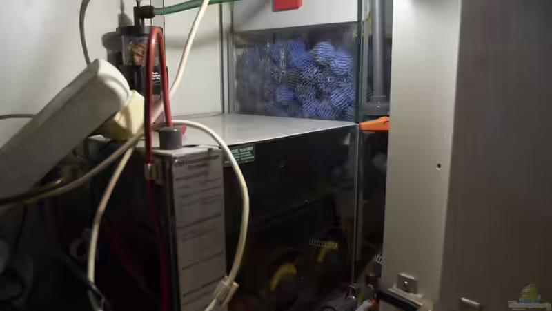 Das Filterbecken von Enrico Friedrich (18)