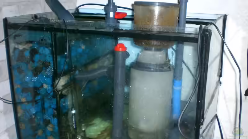 das Filterbecken von Lessi (33)