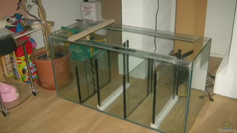 das Filterbecken(eigenbau) von Ronny Laumer (10)