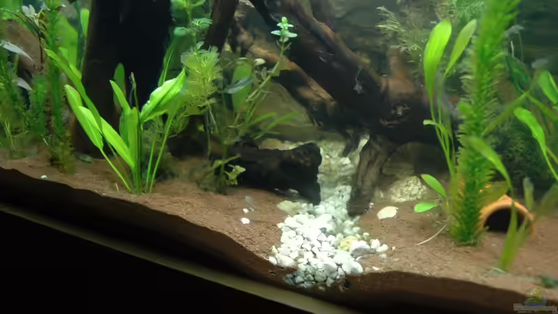 das ´Flussbett´ von marciii1985 (10)