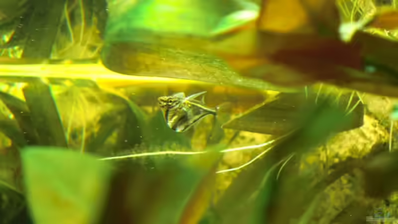 das Foto fand ich einfach Super .... von Sirko Fricke (51)