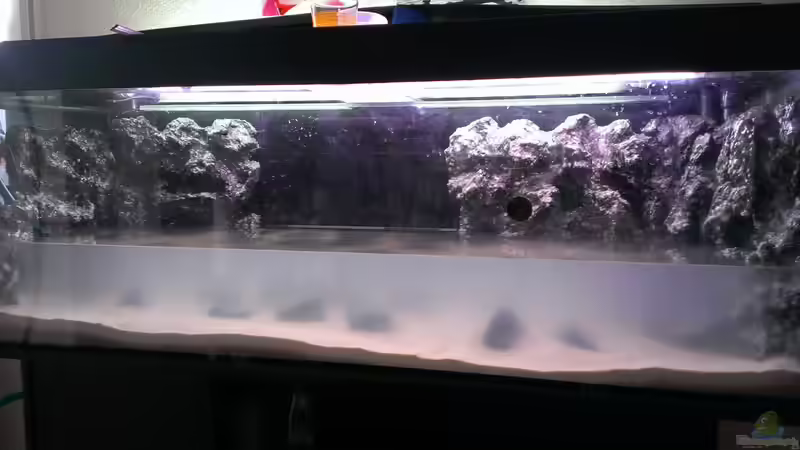 Das Fundament für die Felsen steht und der Sand ist drin - Zeit die Kiste zu fluten! von EvilChicken (3)