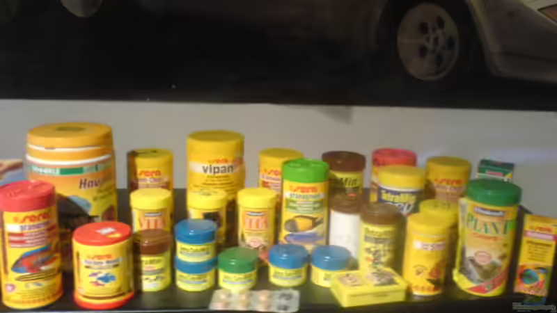 Das Futterangebot von t-time (2)