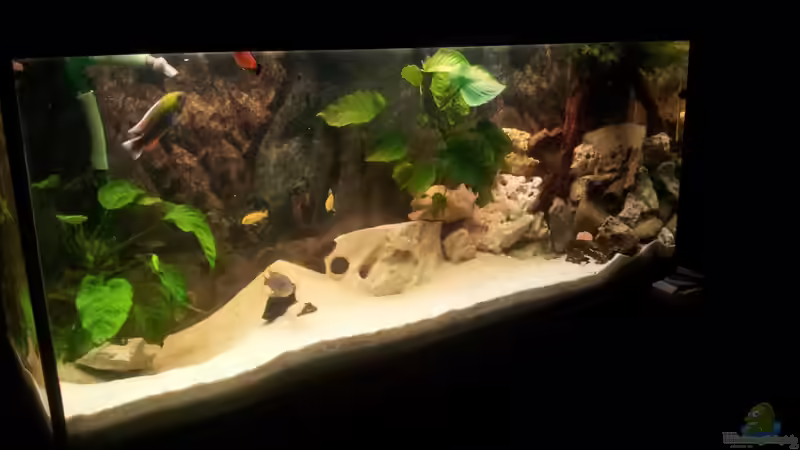 das ganze aq von Stephan Fehringer (1)