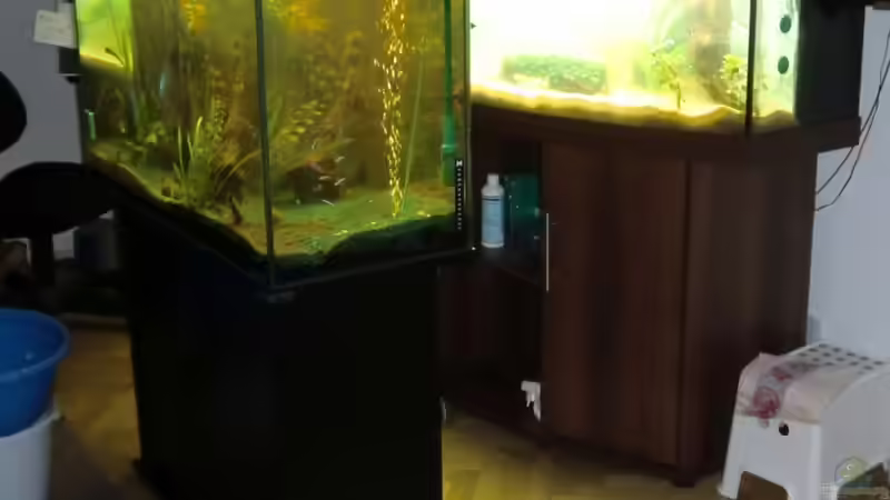 das Ganze dann aufgefüllt (alt und neu) von Sirko Fricke (13)