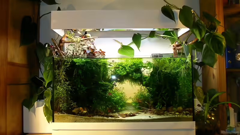 das ganze Drumherum von Fredo Fuss (16)