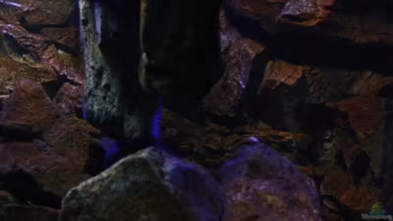 Das ganze mal aus ner anderen Perspektive! von Florian Bandhauer (14)