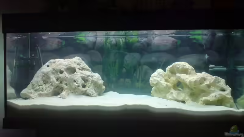 Das Ganze mal etwas Klarer die technick da ist nur Provisorisch um eingefahrern bakterien von Lars Sielaff (3)