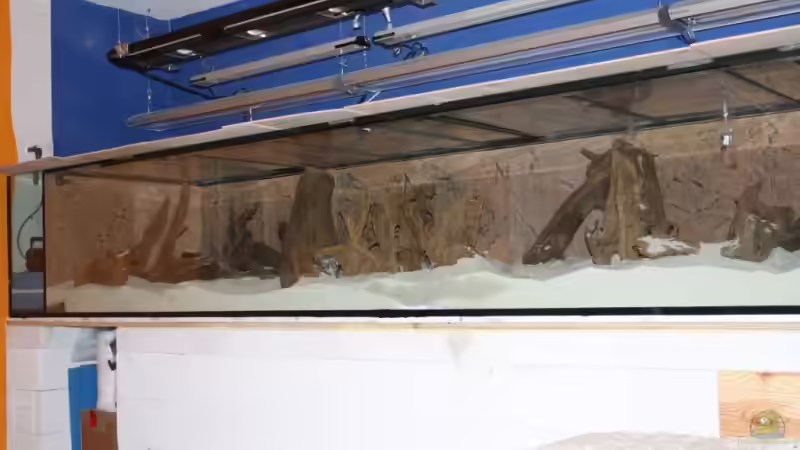 das ganze noch in leerem Zustand von Barbara Langenberger (4)