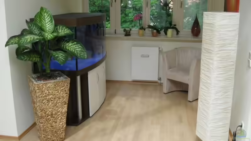 Das ganze noch ohne Besatz... von Frontosa (5)