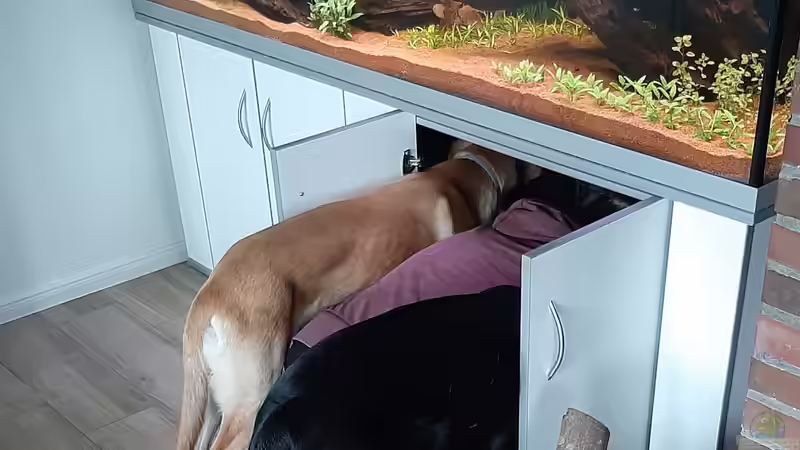 Das ganze Team führt technische Arbeiten durch von Memo (10)