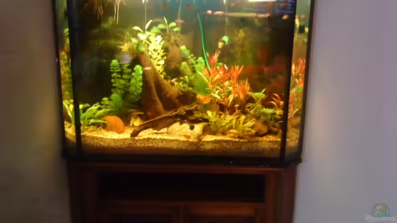 Das gesamte Becken von Marcus Roth (1)