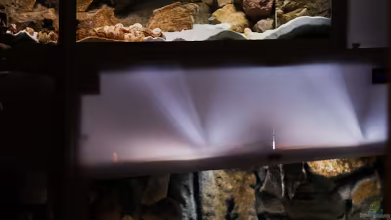 das gesamte Projekt ´SandStorm - Tanganjika´ von AjakAndi (2)