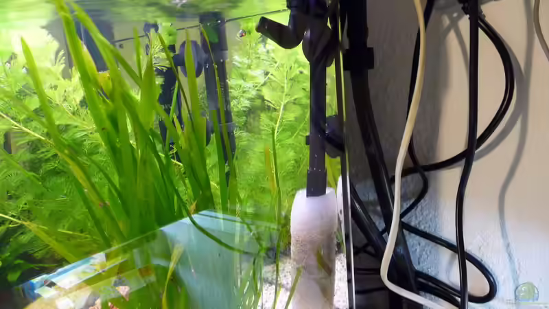 das ging sehr eng zu....leider von bd7063 (6)