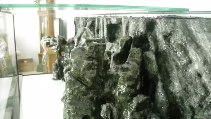 Das Glänzen der Steine ist im gefülltem Becken nicht mehr zu sehen von Herbert (12)