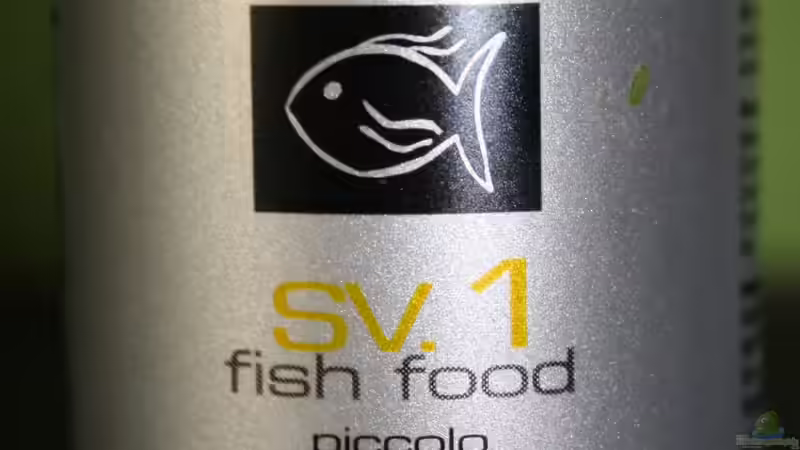 Das Granulat Futter von Florian Bandhauer (52)