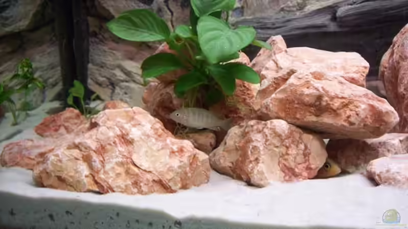 Das Grün von Samson (3)