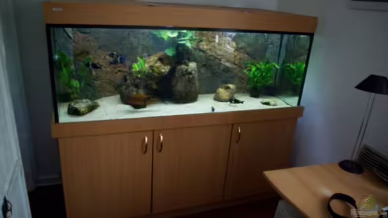 Das gute Stück von Jens Beier (1)