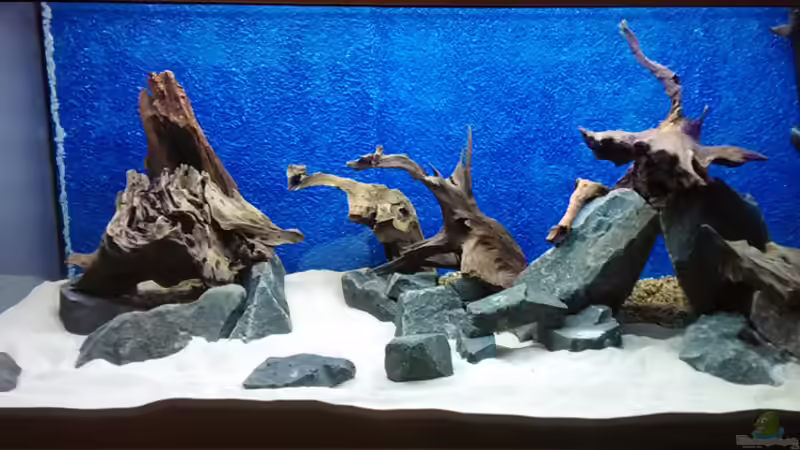 das Hardscape seht von bigbeef (4)