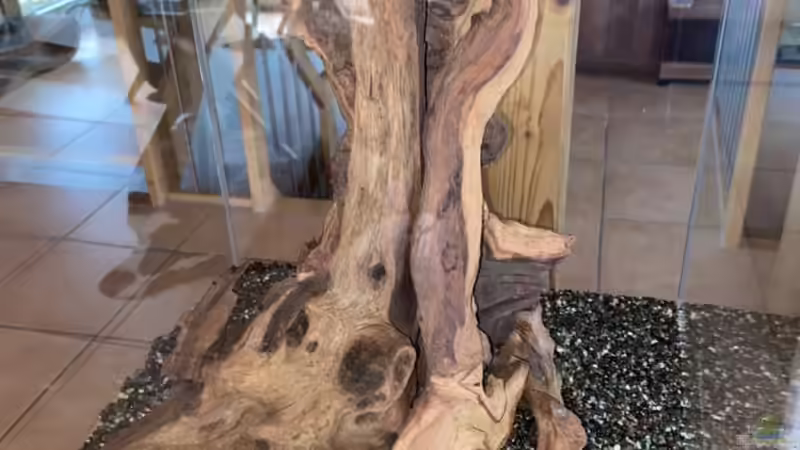 Das Hardscape steht von Vera_K. . (9)