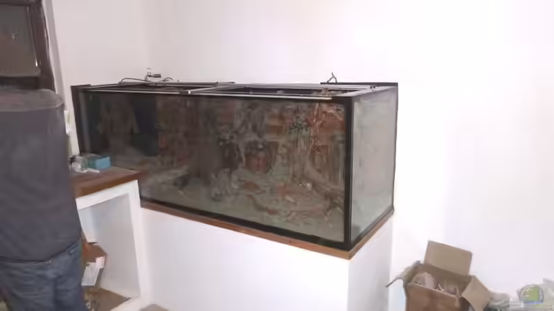 Das Hardscape trocknet (2015/16) von Lina L. (9)