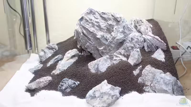 Das Hardscape und der Boden sind fertig von X-Rayminator (27)