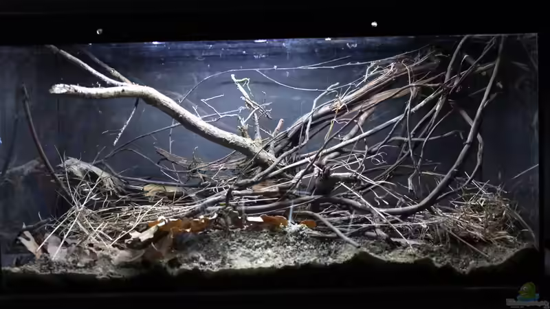 das Hardscape von Falk (5)