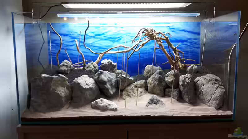 Das Hardscape von vorne von Der Nicky (52)