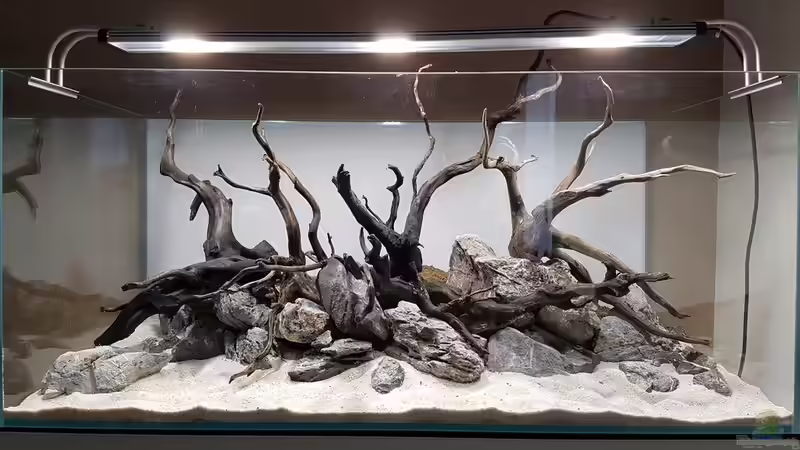Das Hardscape von YoshiMaus (5)
