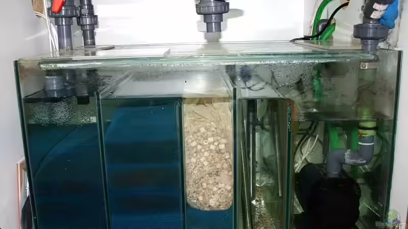 Das Hauptfilterbecken im Unterschrank. von Ingo (25)