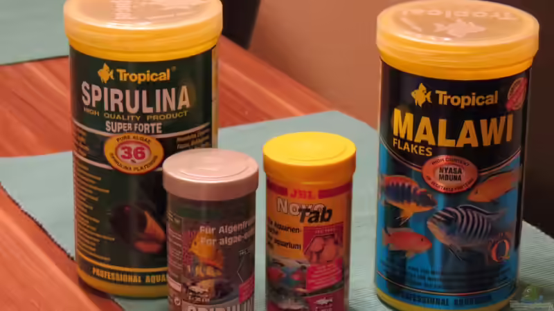 Das Hauptfutter für meine Fische von BastiB (52)