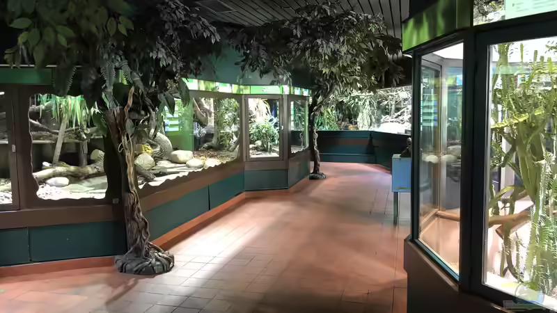 Das Haus der Natur in Salzburg Teil 1 - Reptilien und Video