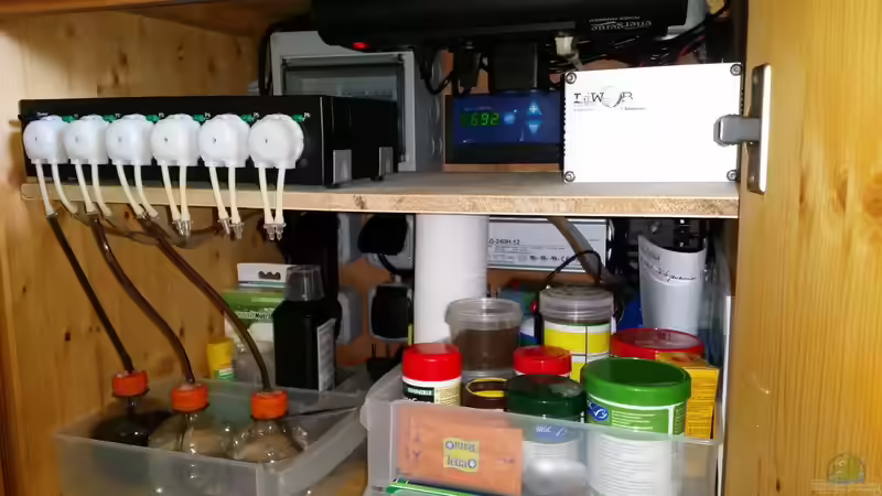 Aquarien mit Produkten von LiWeBe
