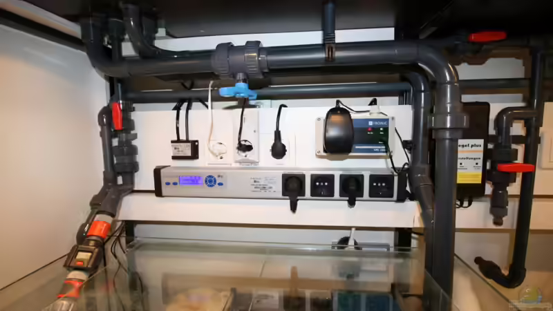 Das Herz! von Manfred B. (11)