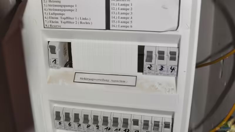 Das Herzteil der Anlage von DominikZ (8)