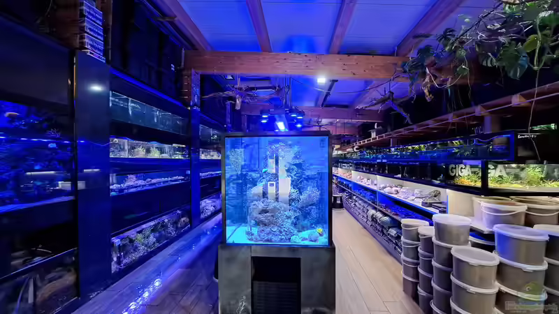 Das Hobby zum Beruf machen? Jetzt möglich bei Giga-Zoo!