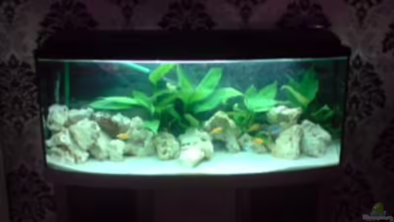 Das ist...... von yankeedoodel (2)