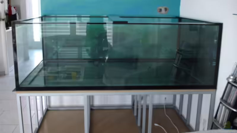 das ist das neue Aquarium 180x120x60 ca. 1300L.( man beachte den Hintergrund ) von Renè Rupf (3)