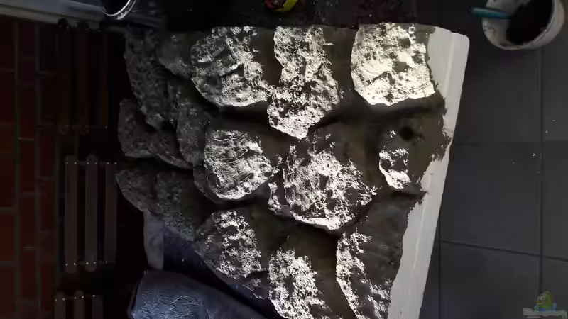 Das ist dass erste Element der selbst gebauten 3D Rückwand , erste und zweite Schicht von AmazonasFreak91 (7)