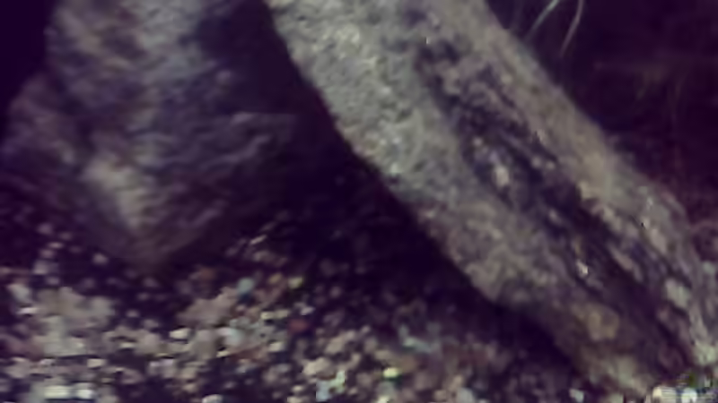das ist die große felsenjöle doven ist der schräg stehende stein 15cm(durmesser)die sehen nur so dick aus da es schichten hat von Sebastian Zeitler (5)
