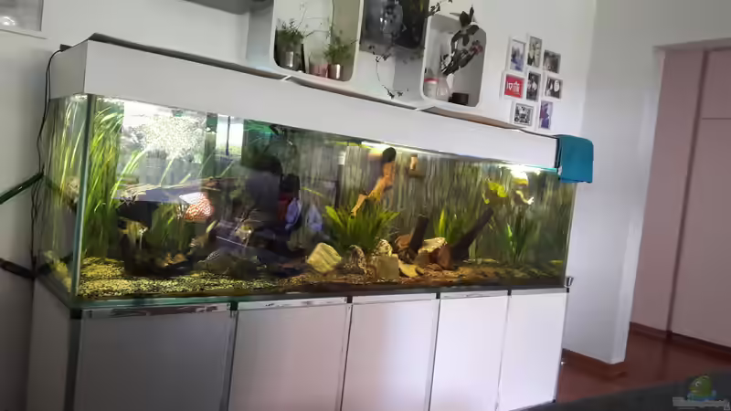 Das ist es :)  von AmazonasFreak91 (1)