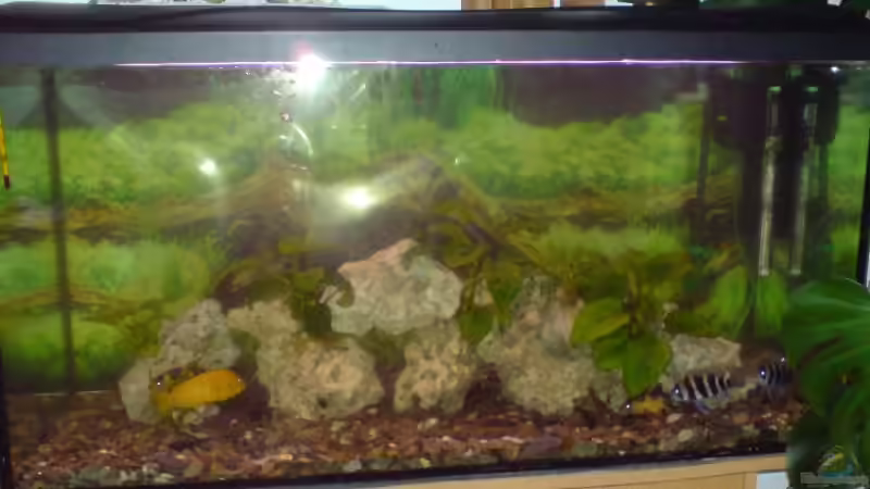 das ist mein Becken von Christian Bäcker (1)