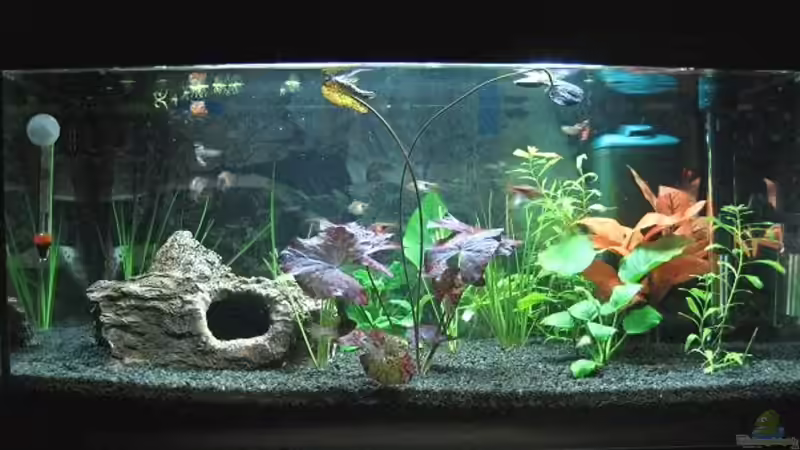 Das ist mein Becken!