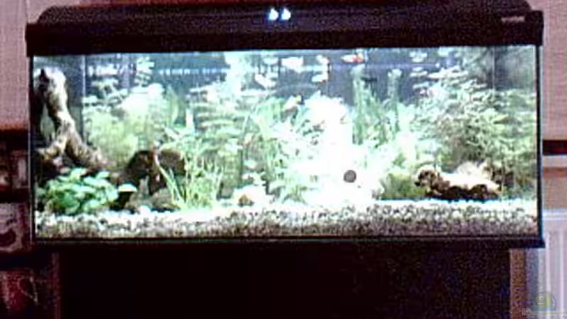 das ist mein gro??es becken von Benedikt Schneider (1)