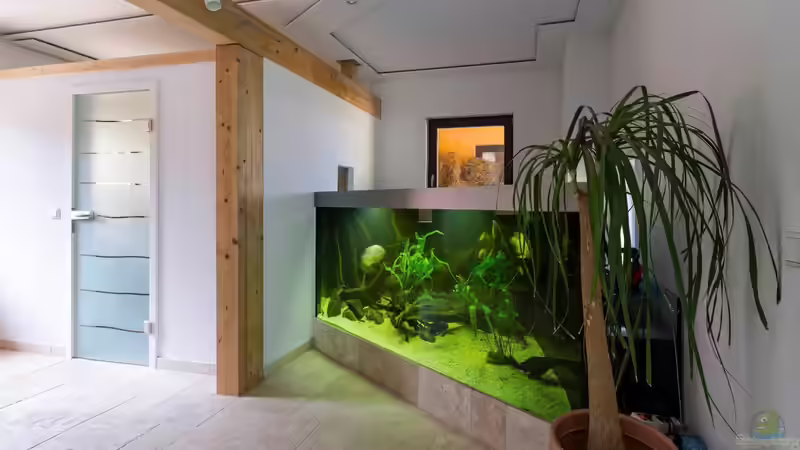 das ist mein schatz, hat sich bisschen was getan in dem halben jahr von Nico Beyer (1)