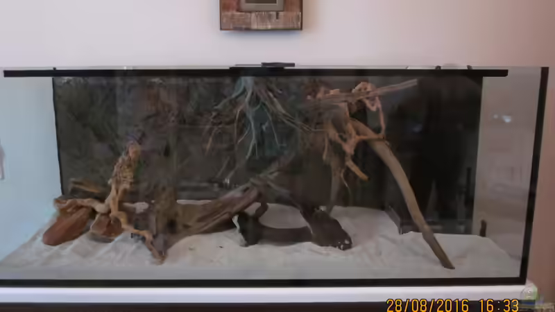 Das kam dem so wie ich es wollte schon sehr nahe . . . von Ottche (10)